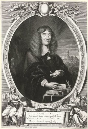 Portrait of IJsbrand van Diemerbroeck