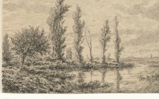 River landscape