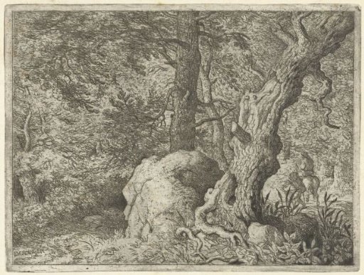 Rider in the Wood