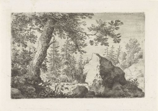 Large Boulder in the Wood