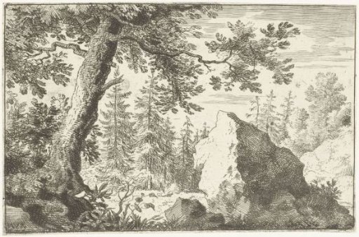Large Boulder in the Wood
