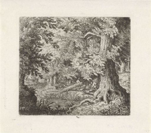 Brook in the forest