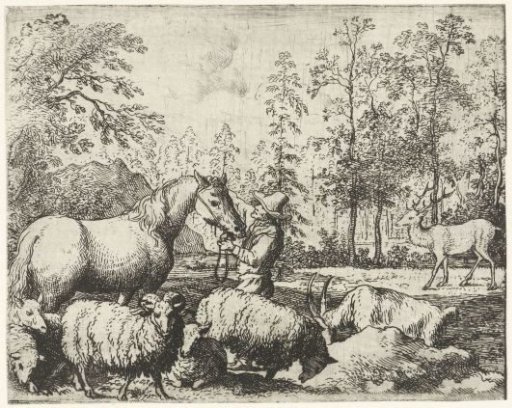 Horse and Rider