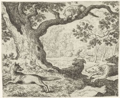 Cat in the Tree