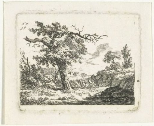 Landscape with a tree with two dead branches