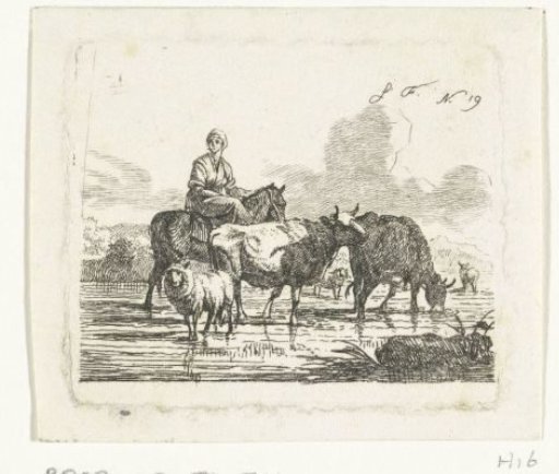 Shepherdess on horseback in shallow water