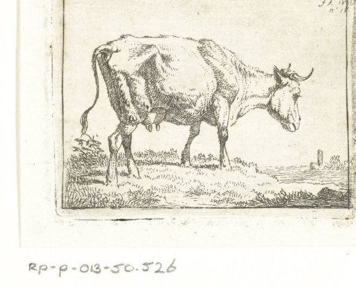 Standing cow, in profile
