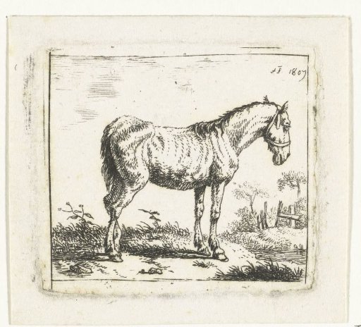 Lean horse