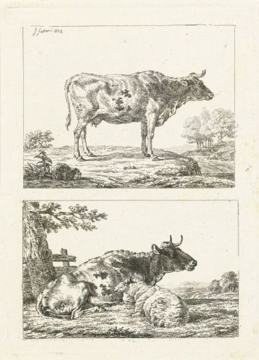Cow and sheep