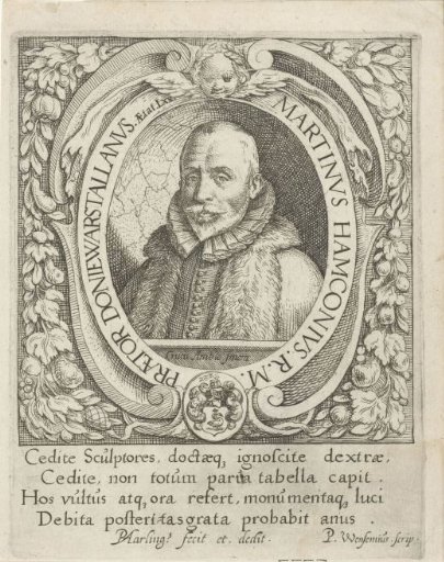 Portrait of Maarten Hamkema