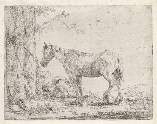 Horse near two trees