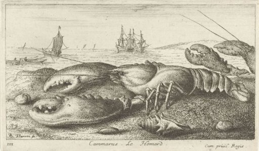 Lobster on the beach