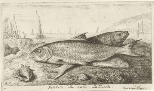 Three fish on the beach