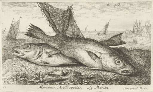 Two whiting on the beach