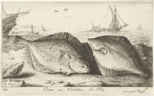 Two plaice on the beach