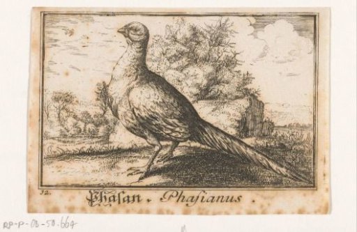 Landscape with a pheasant