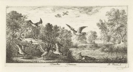 Landscape with lapwings