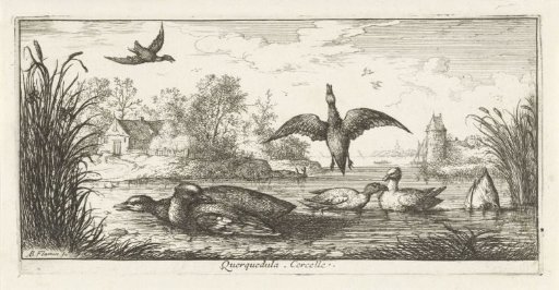 Landscape with ducks