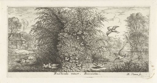 Landscape with a water snipe