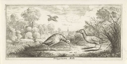 Landscape with two rails on a bank