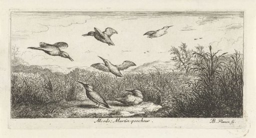Landscape with kingfishers