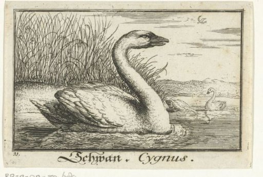 Landscape with a swan
