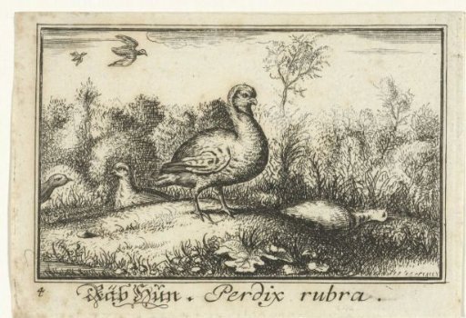 Landscape with partridges