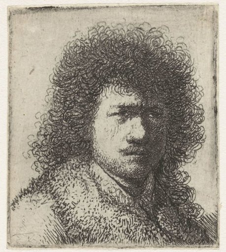 Self-portrait with bushy hair: bust