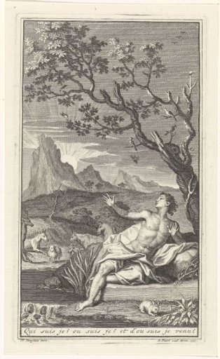 A Man Lying Under a Tree