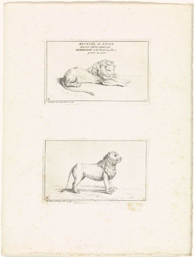 Lions
