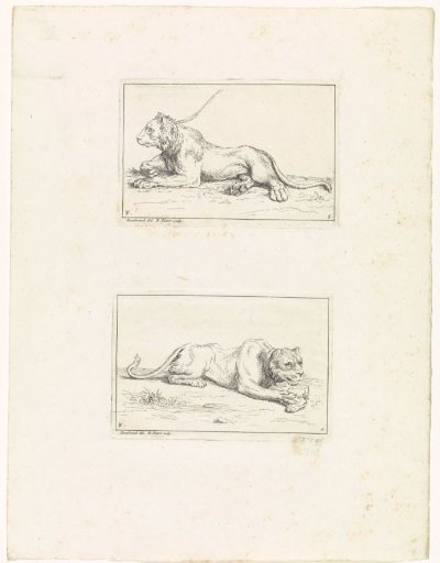 Two recumbent lions