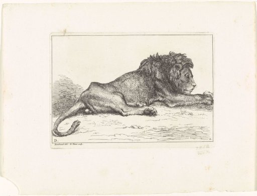 Lion
