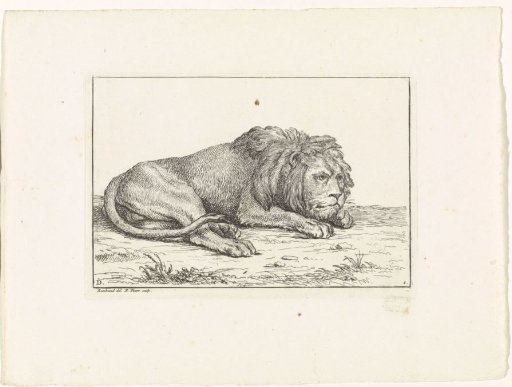 Recumbent Lion