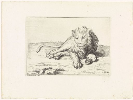 Lion with Claws Extended