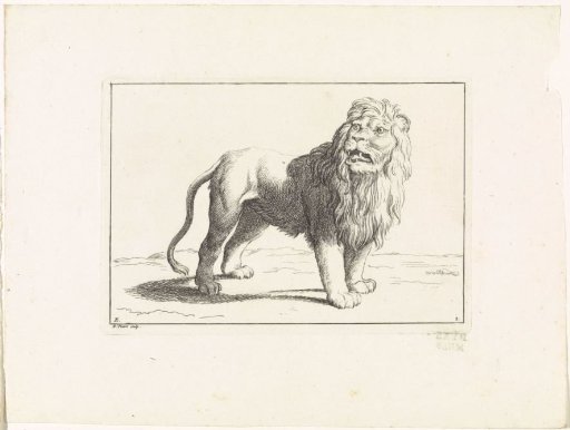 Roaring Lion