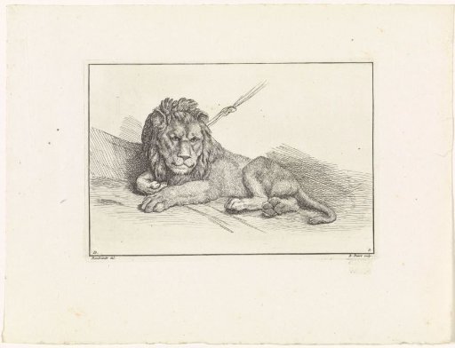 Tethered Lion