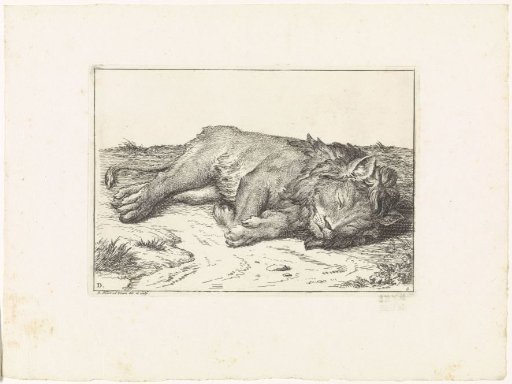 Sleeping Lion