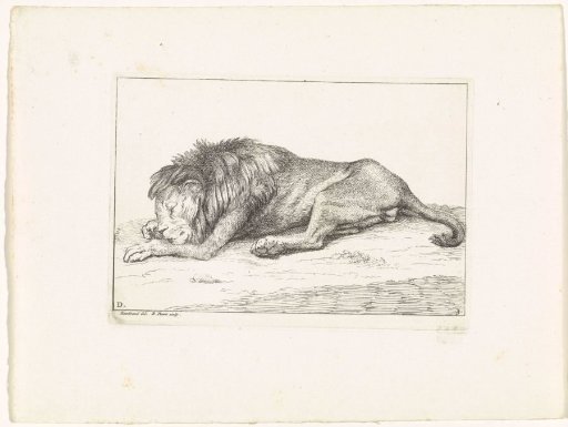 Sleeping Lion