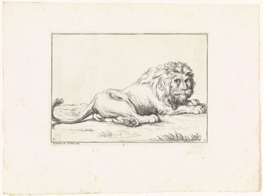Lion on the Grass