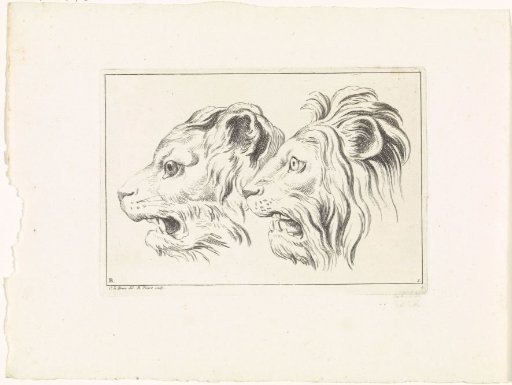 Two Lion Heads, in Profile