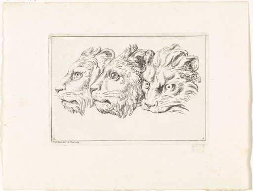 Three Lion Heads