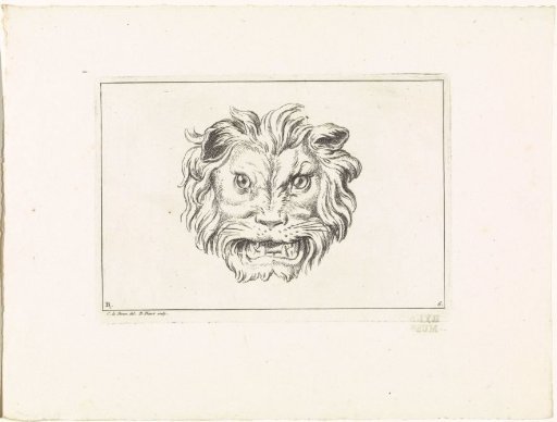 Growling Lion Head