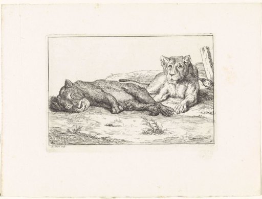 Two Recumbent Lions