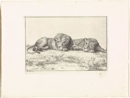 Landscape with Two Lions