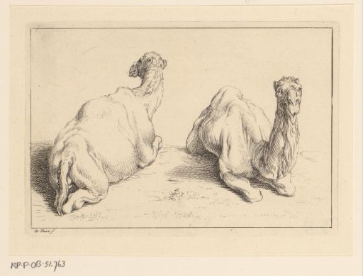 Landscape with two reclining dromedaries