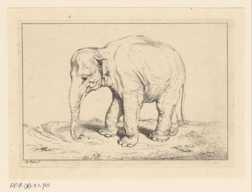 Landscape with an elephant