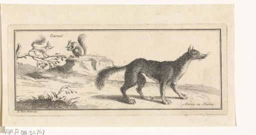 Squirrels and a pine marten