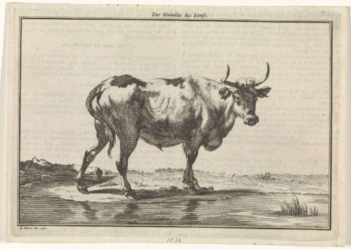 Landscape with a cow