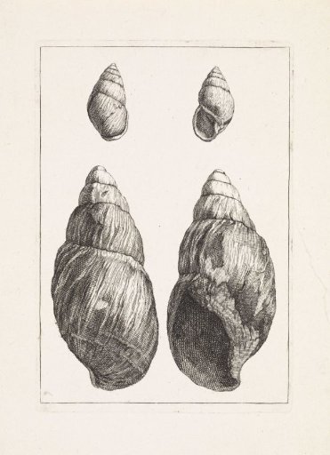 Four conical shells