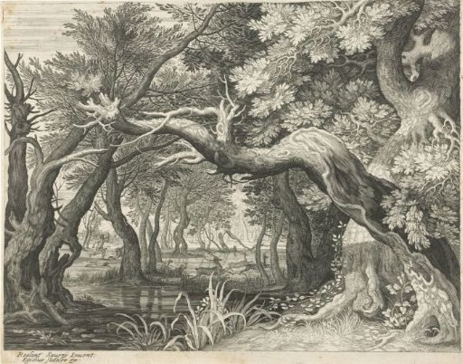 Deer Hunt by a Forest Lake